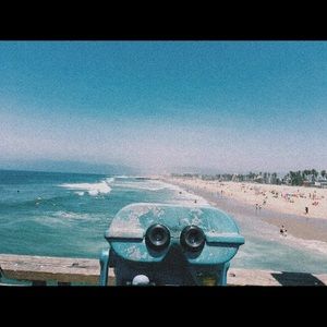 Meet your Posher, Callie